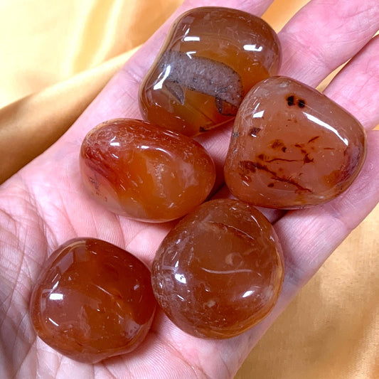 Karneoli kämmenkivi 3 - 5cm - Paras laatu - Valkoisen Liekin Voima