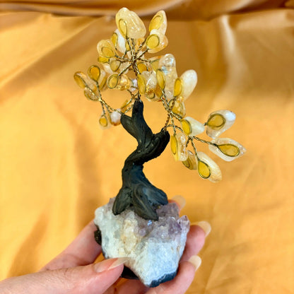 Kristallipuu - Sitriini - Ametisti 13,5cm - 011