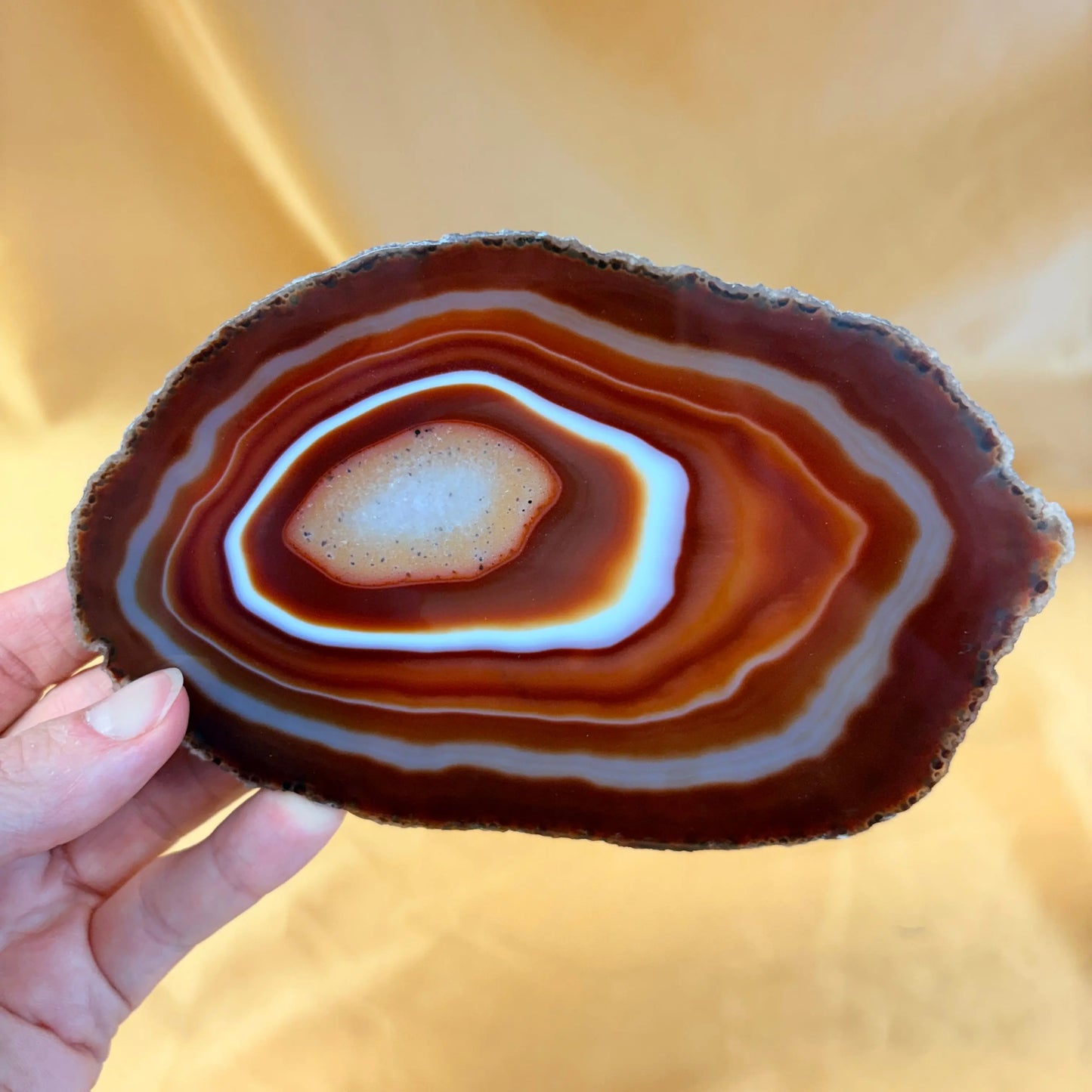 Iso uniikki Akaattilevy - Punaruskea - 15,5cm - 160g