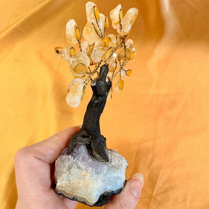 Kristallipuu - Sitriini - Ametisti 13,5cm - 011