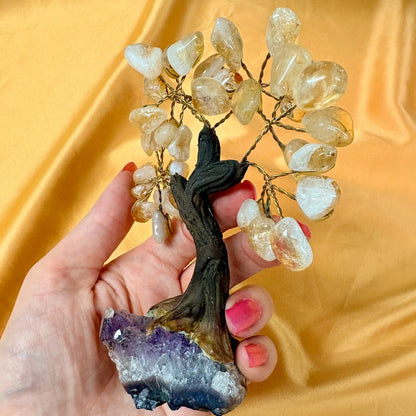 Kristallipuu - Sitriini - Ametisti 13,5cm - 040