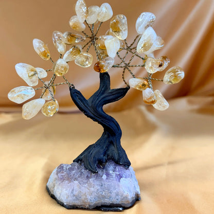 Kristallipuu - Sitriini - Ametisti 13,5cm - 011