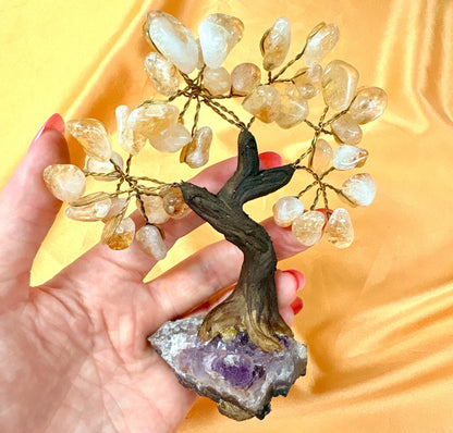 Kristallipuu - Sitriini - Ametisti 13,5cm - 040