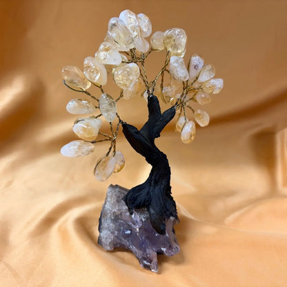 Kristallipuu - Sitriini - Ametisti 14,5cm - 020