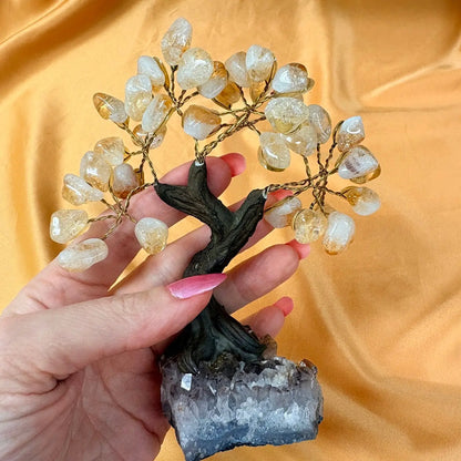 Kristallipuu - Sitriini - Ametisti 15cm - 030