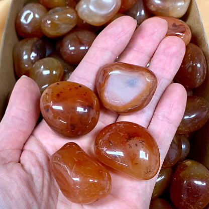 Karneoli kämmenkivi 3 - 5cm - Paras laatu - Valkoisen Liekin Voima