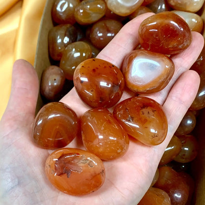 Karneoli kämmenkivi 3 - 5cm - Paras laatu - Valkoisen Liekin Voima