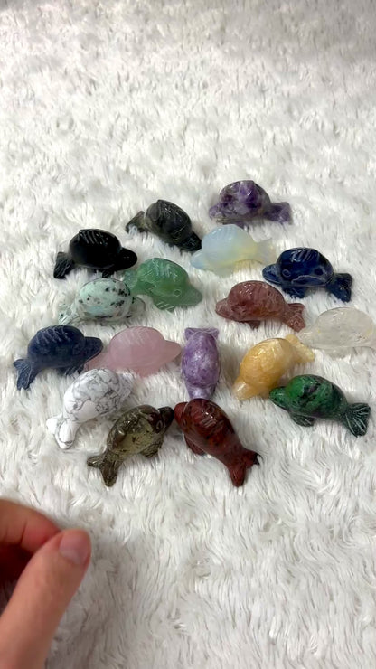 Kristallipaketti - 17 erilaista kristallifisua